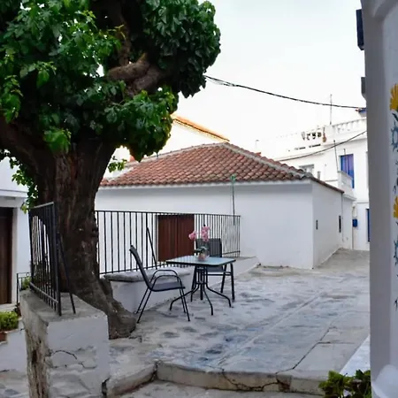 Stella's House